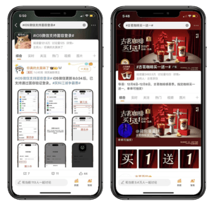 Professional and information-driven campaigns in Weibo