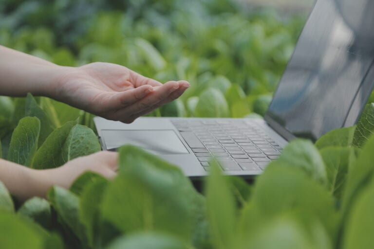 Asian woman farmer using digital tablet in vegetable garden